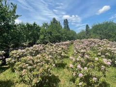 -名花谷生态庄园