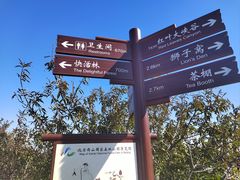-鬼笑石后山停车场
