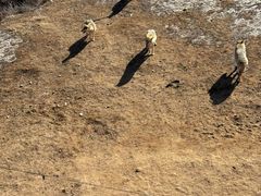 -鄂尔多斯野生动物园