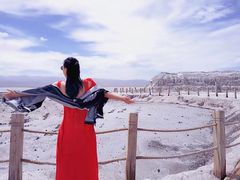 -青海茶卡盐湖文化旅游发展股份有限公司