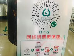 -白洋淀景区