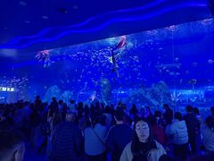 -石家庄极地海洋世界