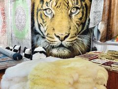 -新疆国际大巴扎