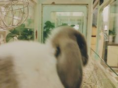 -龙猫仔乐园(惠福东路店)