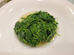 -洁而精川菜馆(复兴公园店)
