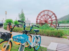 -顺峰山公园