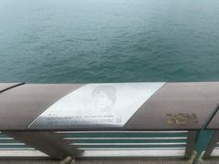 -星光大道