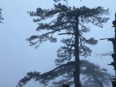-罗田薄刀峰风景区