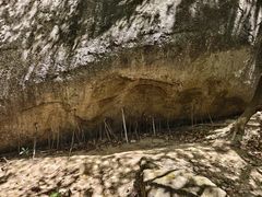 -火炉山森林公园