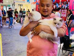 -凯德广场(学府店)