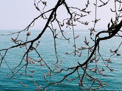 -抚仙湖禄充风景区
