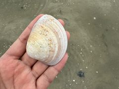 -红树林天天赶海