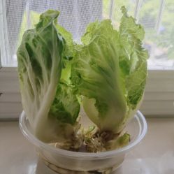 -爱尔乐美孕产瑜伽·普拉提