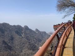 -少华山国家森林公园