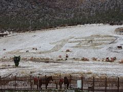 -扁都口生态休闲旅游区