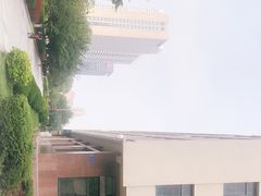 -青岛市图书馆