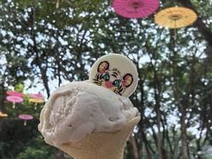 -广州长隆飞鸟乐园