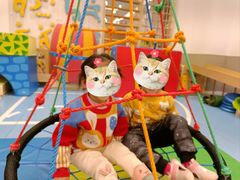 -红黄蓝成长中心(海淀上地店)