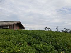 景点-天河潭旅游度假区