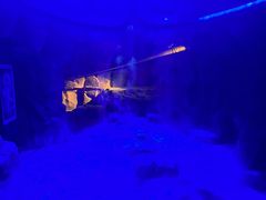 -西安电影制片厂