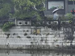 -柳侯公园