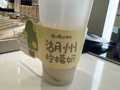 -猫的魔法密林(衣裳街店)