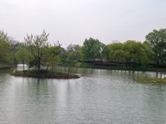 -西溪国家湿地公园