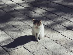 -西园寺