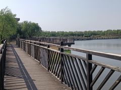 -武清南湖绿博园