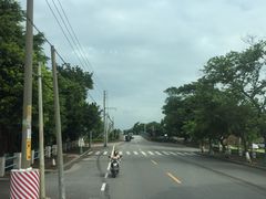 -大湾区中央湿地公园