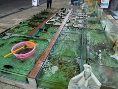 -景好海鲜餐厅(大鹏必选旅游店)