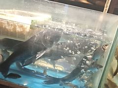 -丹江渔村(首都机场店)