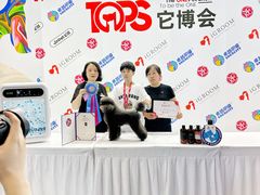 -鑫艺宠物美容培训学校