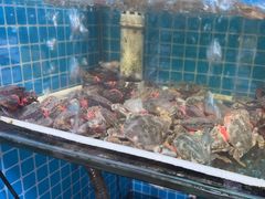 -兆辉木炭海鲜烧烤·海鲜小炒