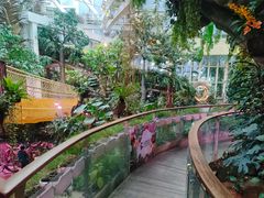 -正佳雨林生态植物园