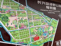 -上海长兴岛郊野公园