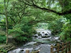 -广州市石门国家森林公园