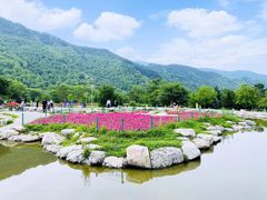 -五台山风景区