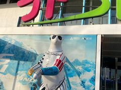 -乔波室内滑雪场