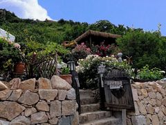 -荒度咖啡(北九水店)