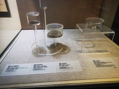 -南越王博物院(王宫展区)