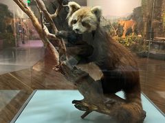 -陕西自然博物馆