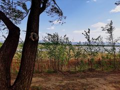 -野鸭湖国家湿地公园