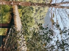 -七仙岭温泉国家森林公园