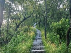 -嵖岈山风景区