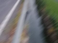 -李东农庄(中南百草园地标店)