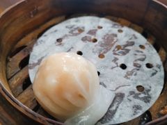 水晶鲜虾饺-广东小美食(果戈里大街店)