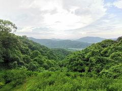 -广州市帽峰山景区