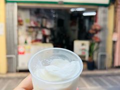 -洪馨椰子