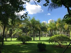 -金花茶公园